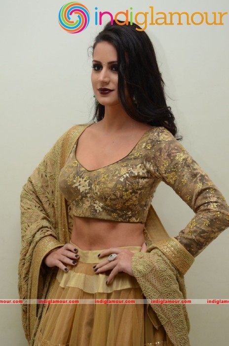 Larissa Bonesi Latest Photos Gallery Actress hd photo