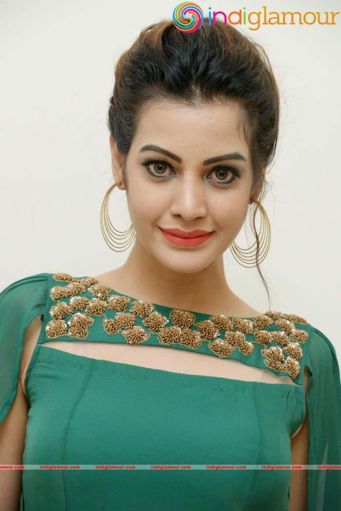 Diksha Panth New Photos Actress hd photo