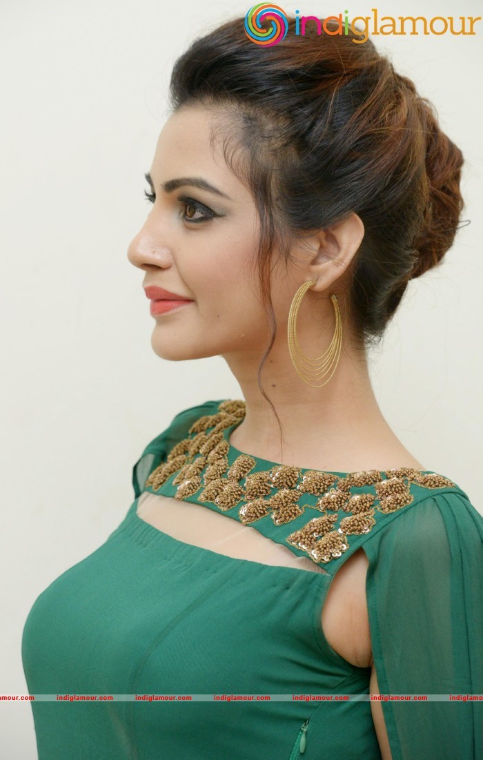 Diksha Panth New Photos Actress hd photo