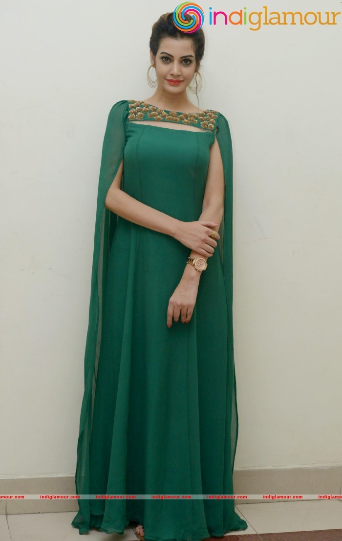 Diksha Panth New Photos Actress hd photo