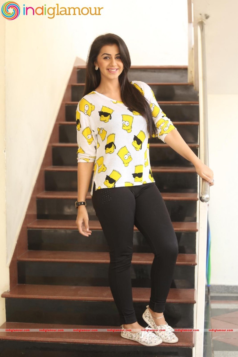 Nikki Galrani Actress Latest Photo Gallery Actress hd photo