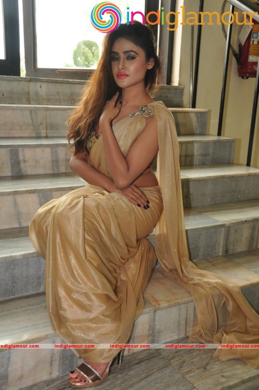 Sony Charishta Latest Photos Actress hd photo