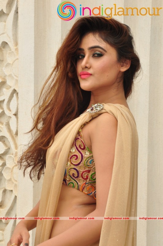 Sony Charishta Latest Photos Actress hd photo