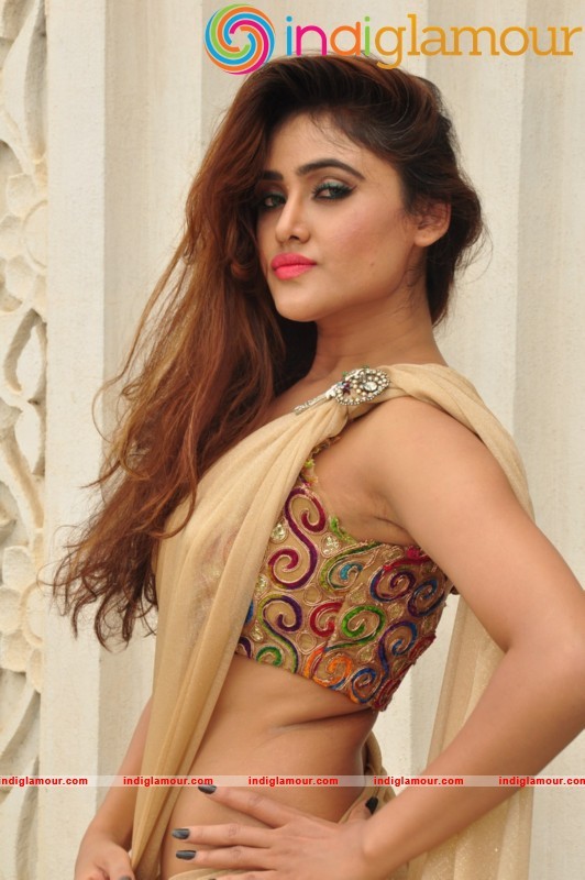 Sony Charishta Latest Photos Actress hd photo