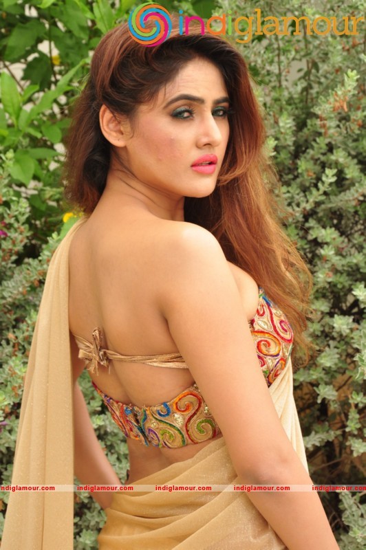 Sony Charishta Latest Photos Actress hd photo