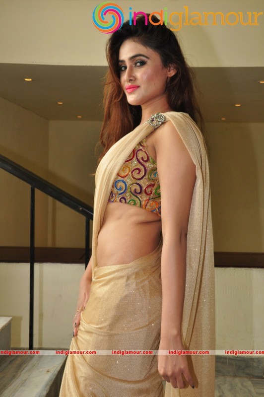 Sony Charishta Latest Photos Actress hd photo