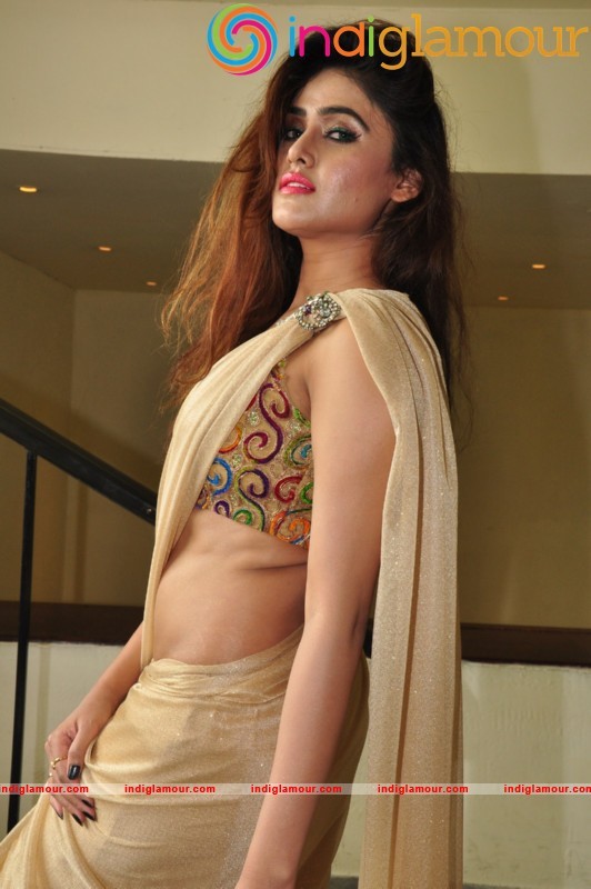 Sony Charishta Latest Photos Actress hd photo