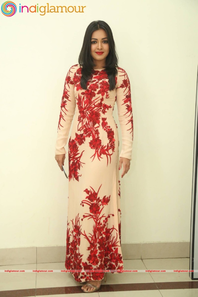 Catherine Tresa Actress hd photo