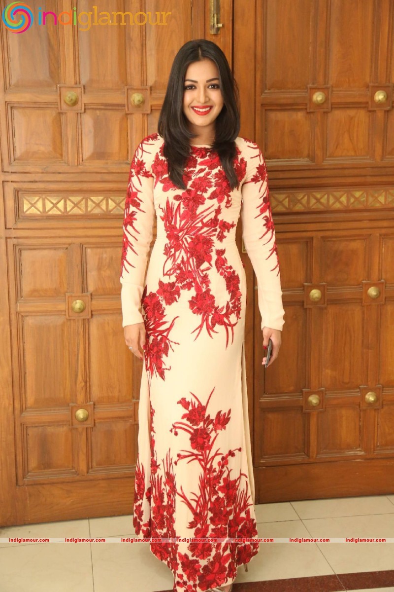 Catherine Tresa Actress hd photo