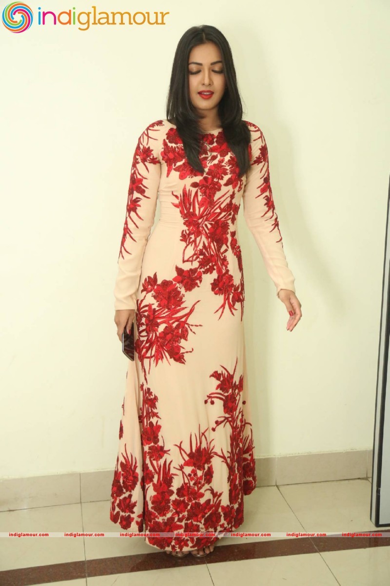 Catherine Tresa Actress hd photo