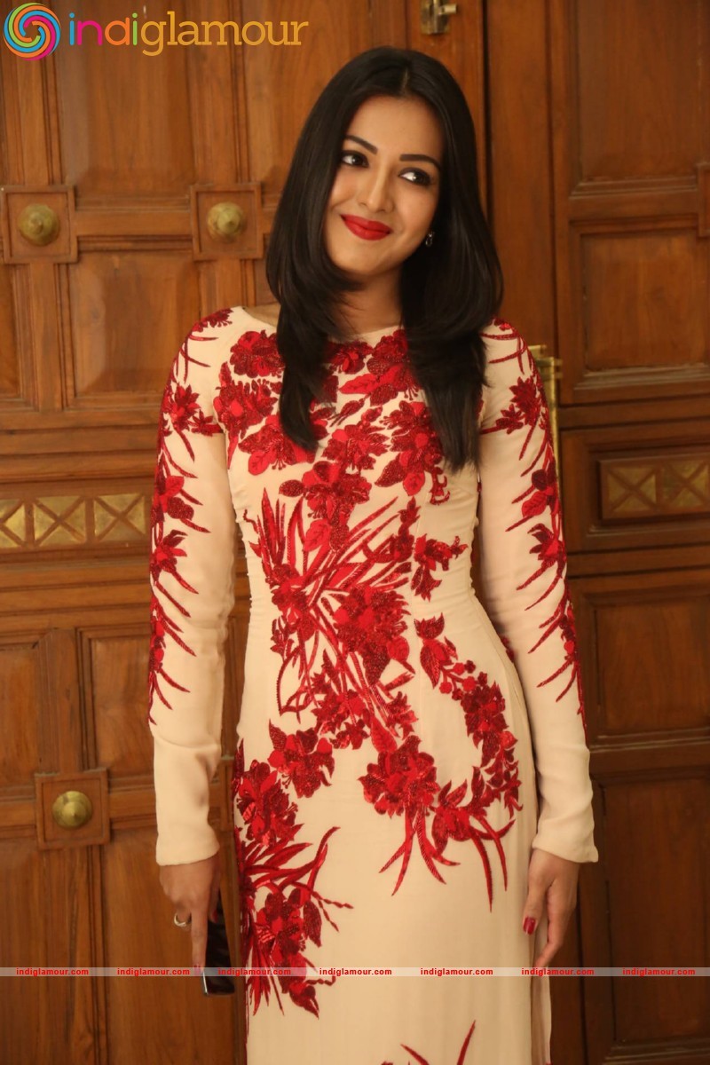 Catherine Tresa Actress hd photo