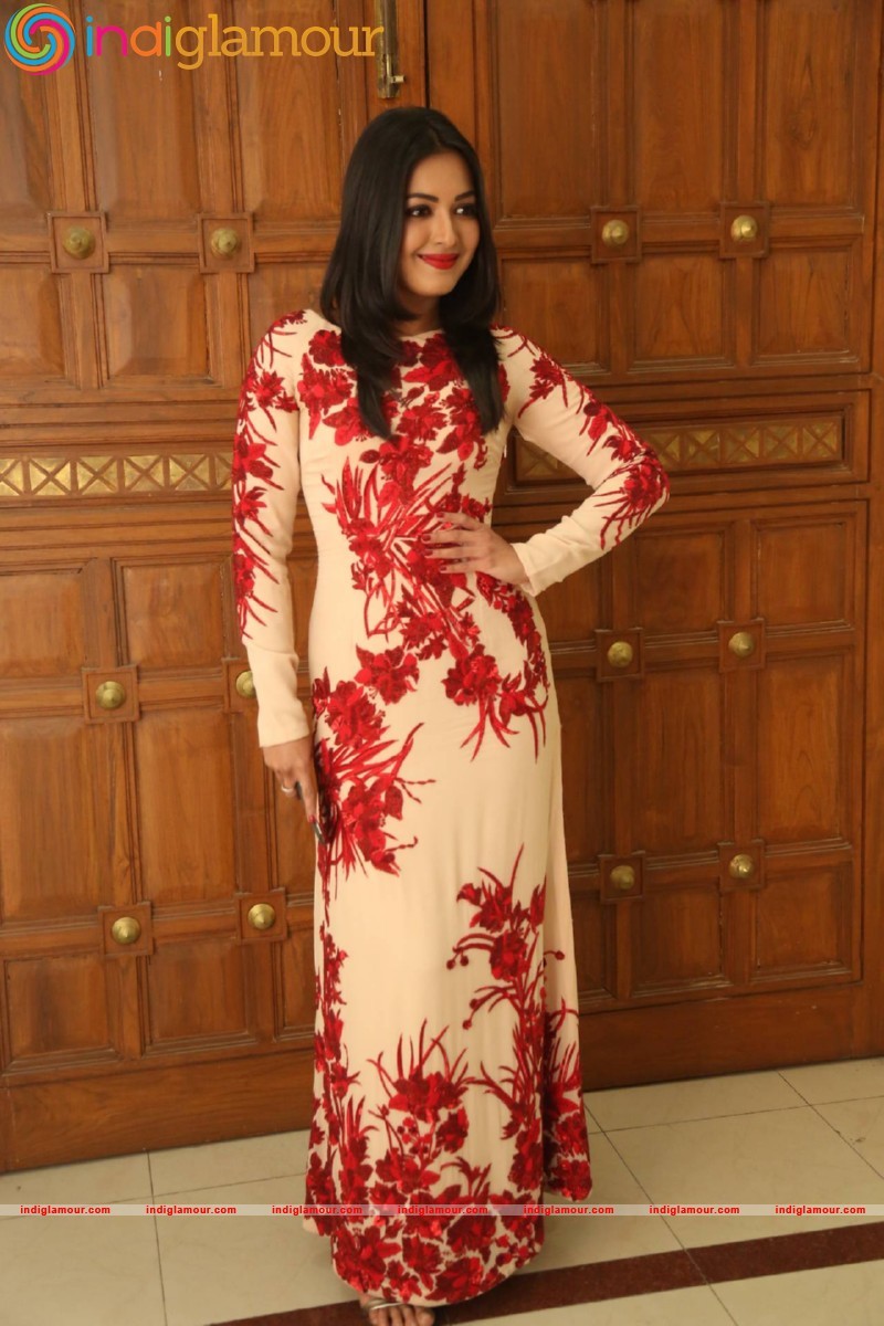 Catherine Tresa Actress hd photo