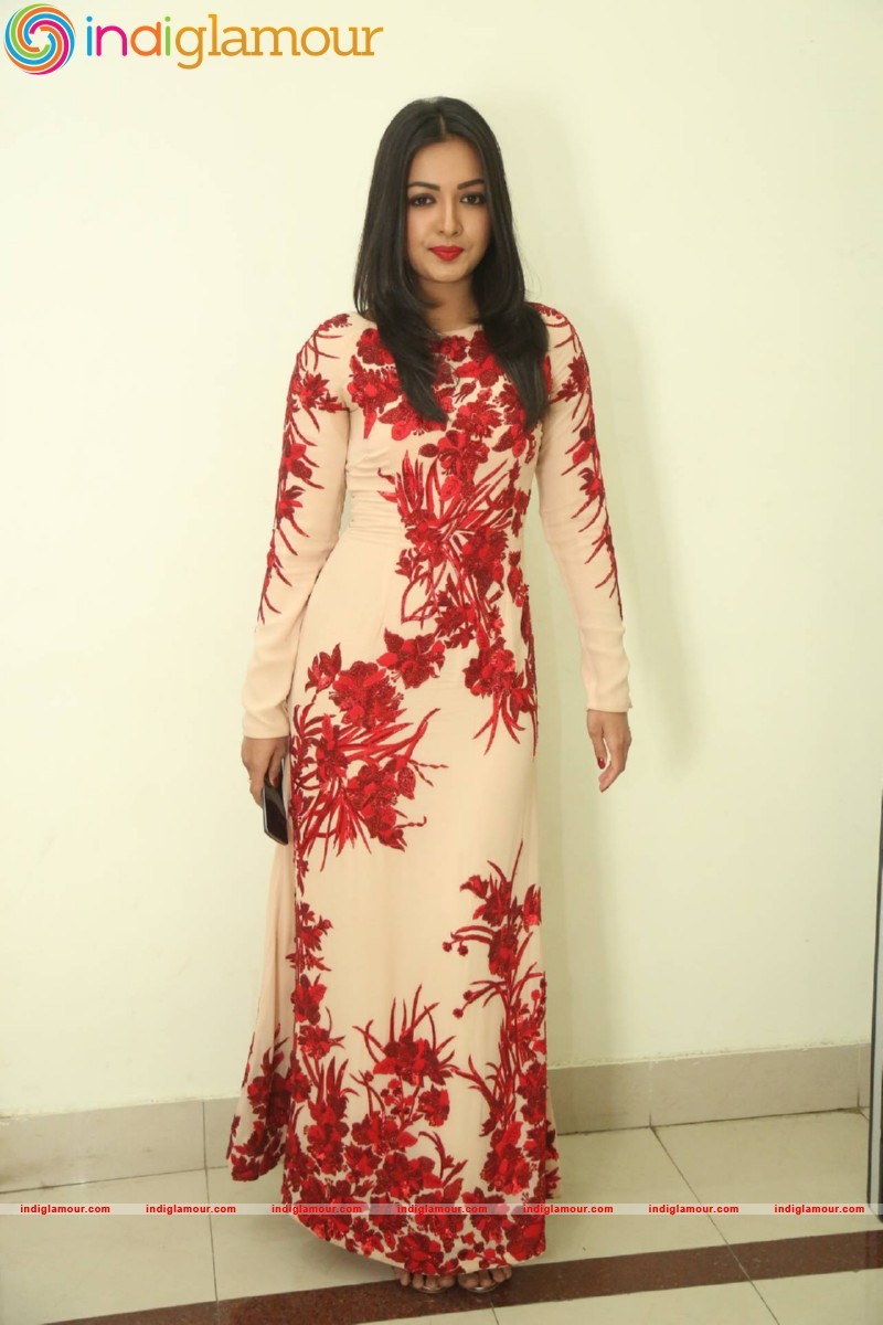 Catherine Tresa Actress hd photo