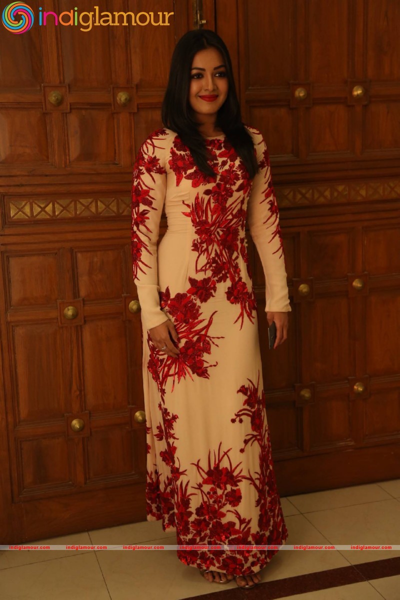 Catherine Tresa Actress hd photo