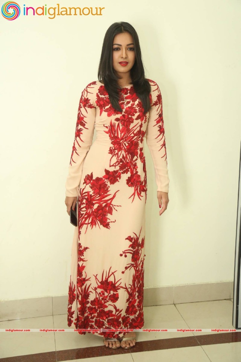 Catherine Tresa Actress hd photo