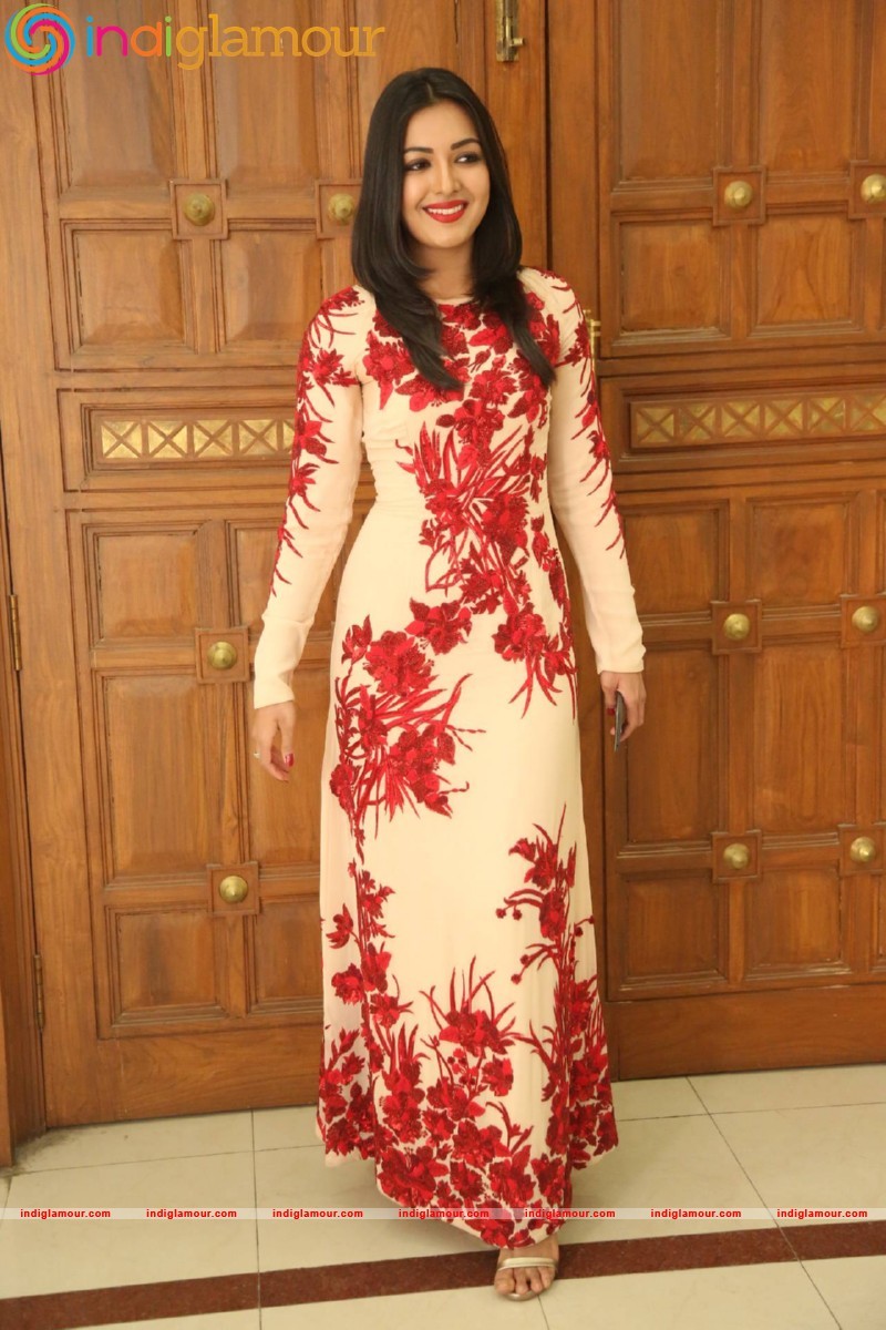 Catherine Tresa Actress hd photo