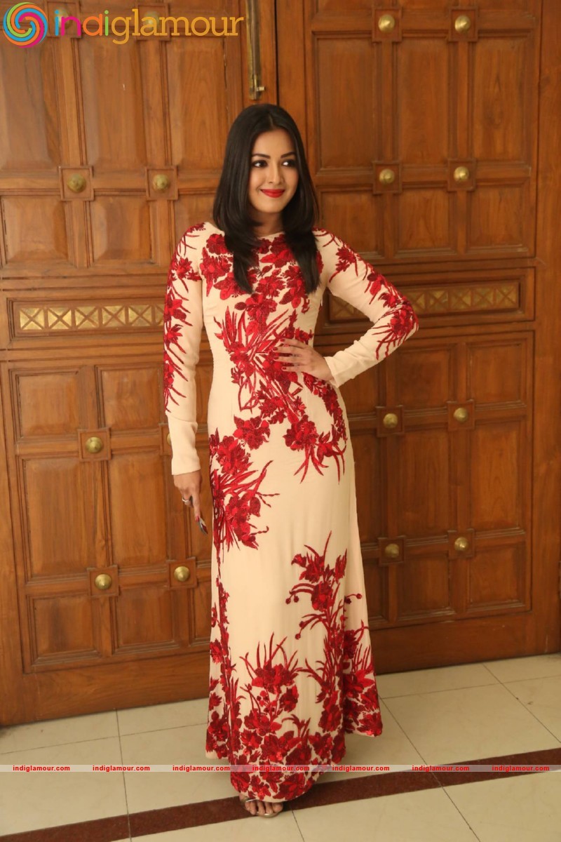 Catherine Tresa Actress hd photo