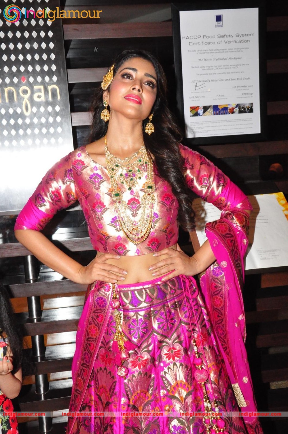 Shriya Saran New Pics Actress hd photo