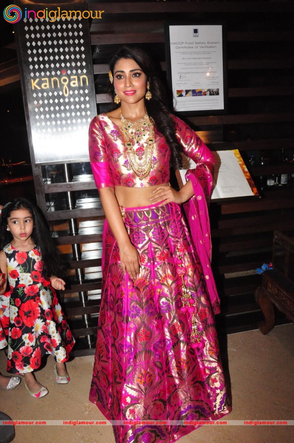 Shriya Saran New Pics Actress hd photo