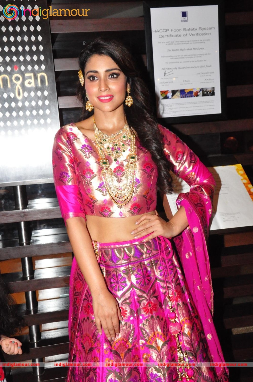 Shriya Saran New Pics Actress hd photo