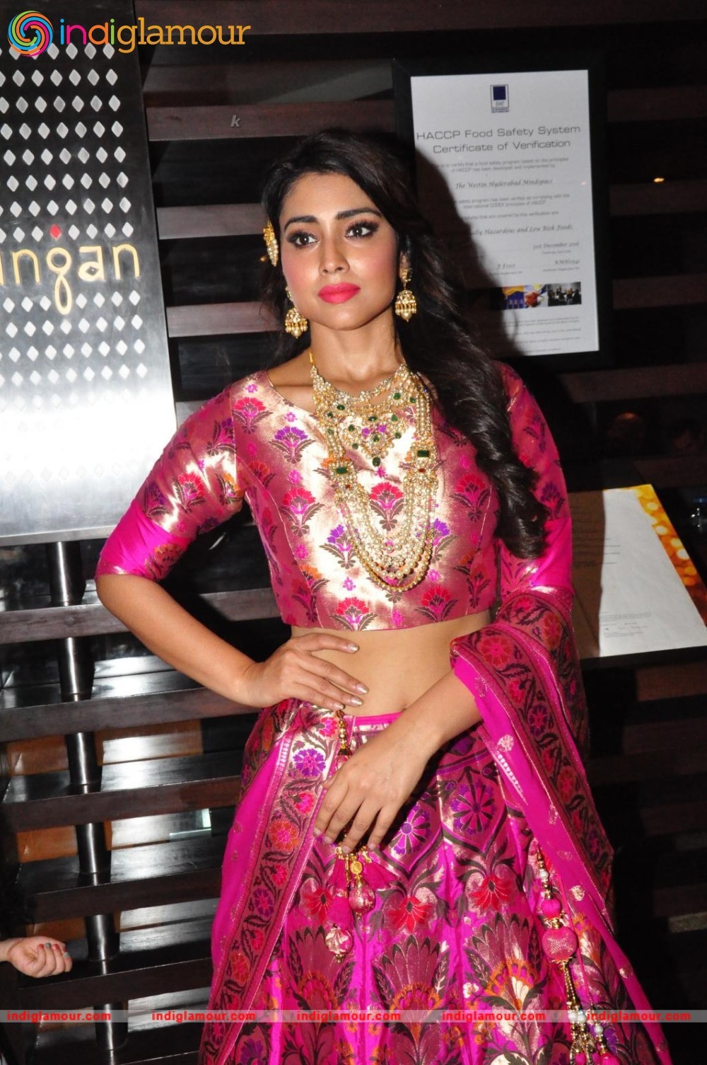 Shriya Saran New Pics Actress hd photo