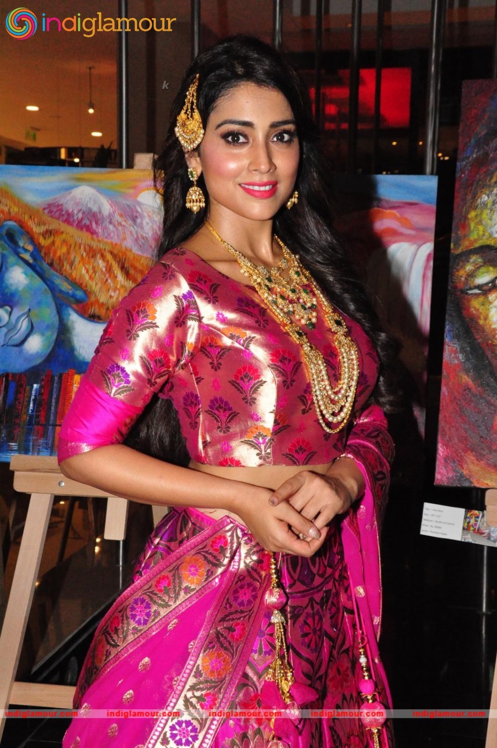 Shriya Saran New Pics Actress hd photo