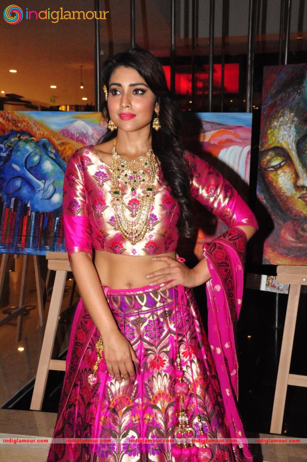 Shriya Saran New Pics Actress hd photo