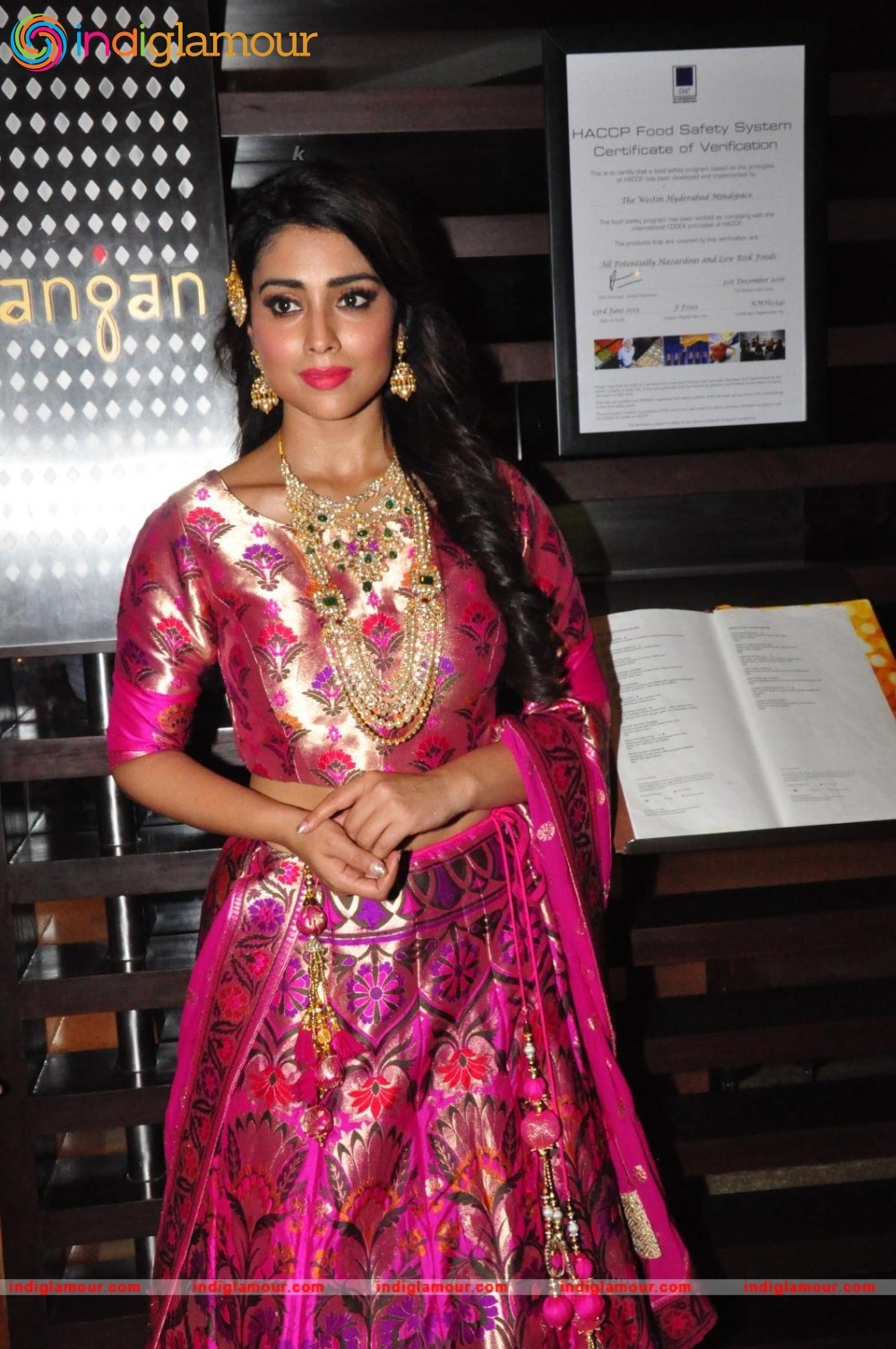 Shriya Saran New Pics Actress hd photo