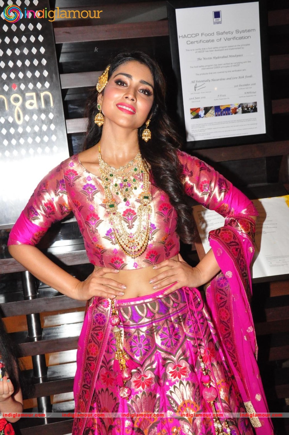 Shriya Saran New Pics Actress hd photo