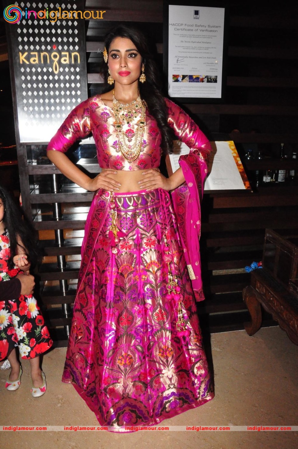 Shriya Saran New Pics Actress hd photo