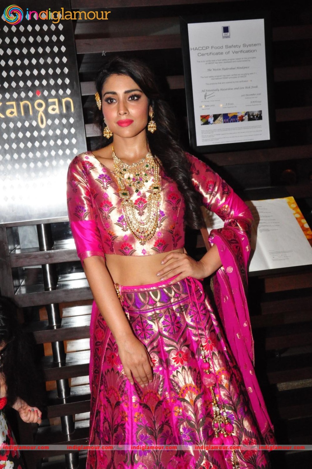 Shriya Saran New Pics Actress hd photo