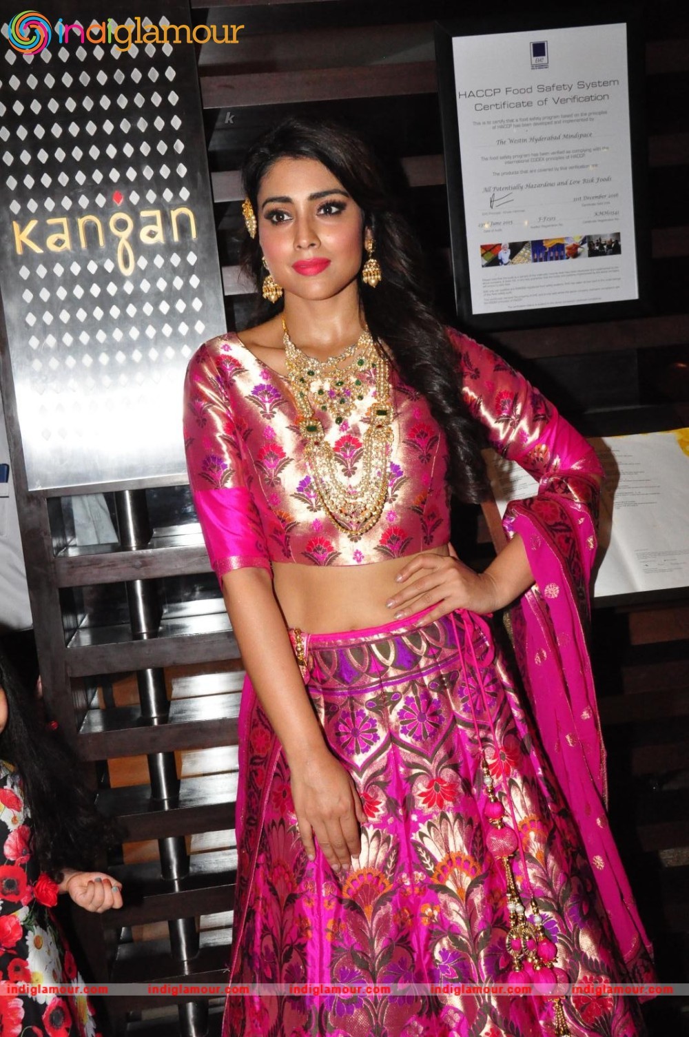 Shriya Saran New Pics Actress hd photo
