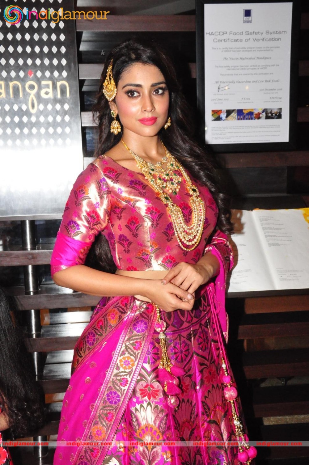 Shriya Saran New Pics Actress hd photo