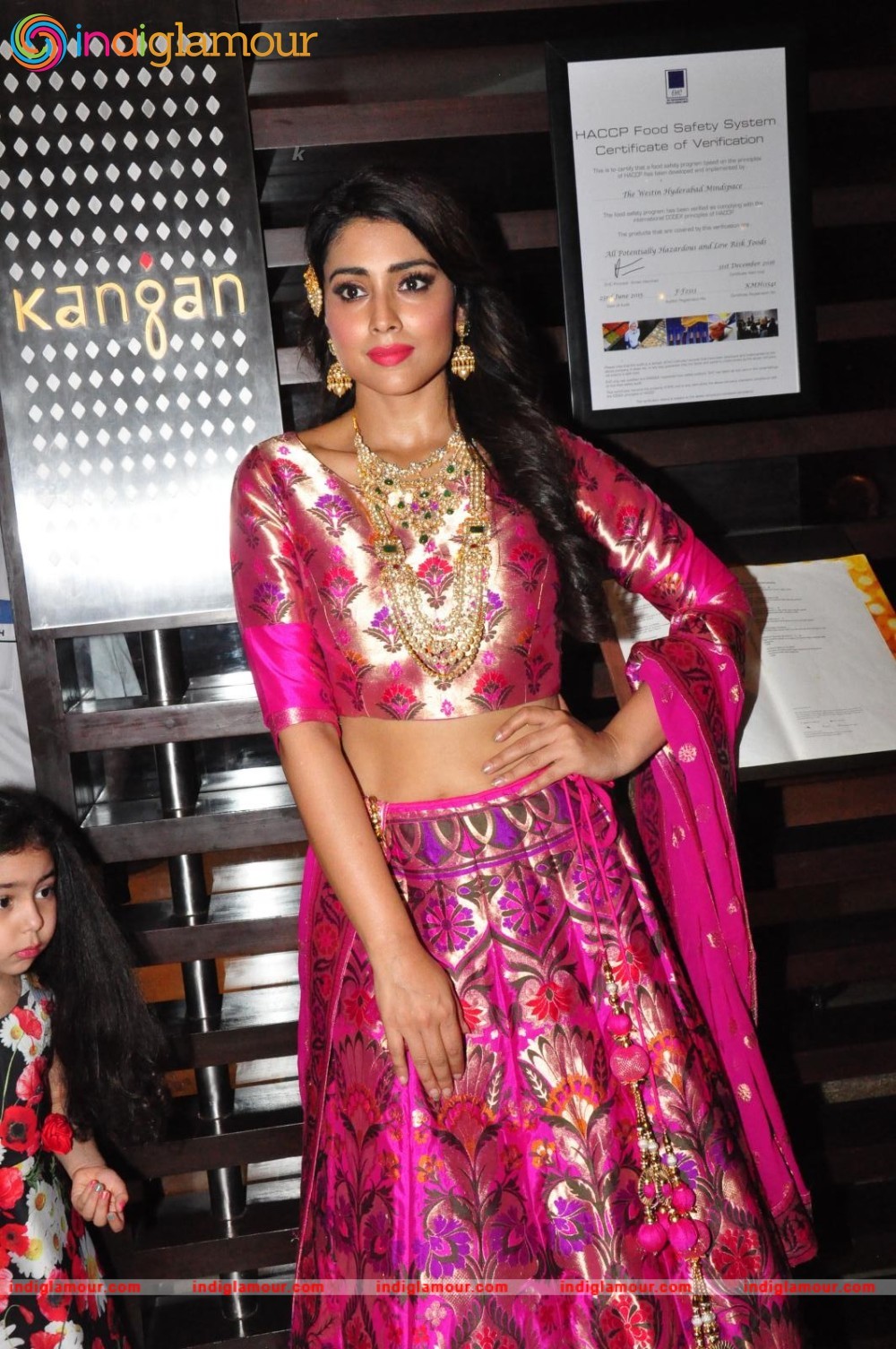 Shriya Saran New Pics Actress hd photo