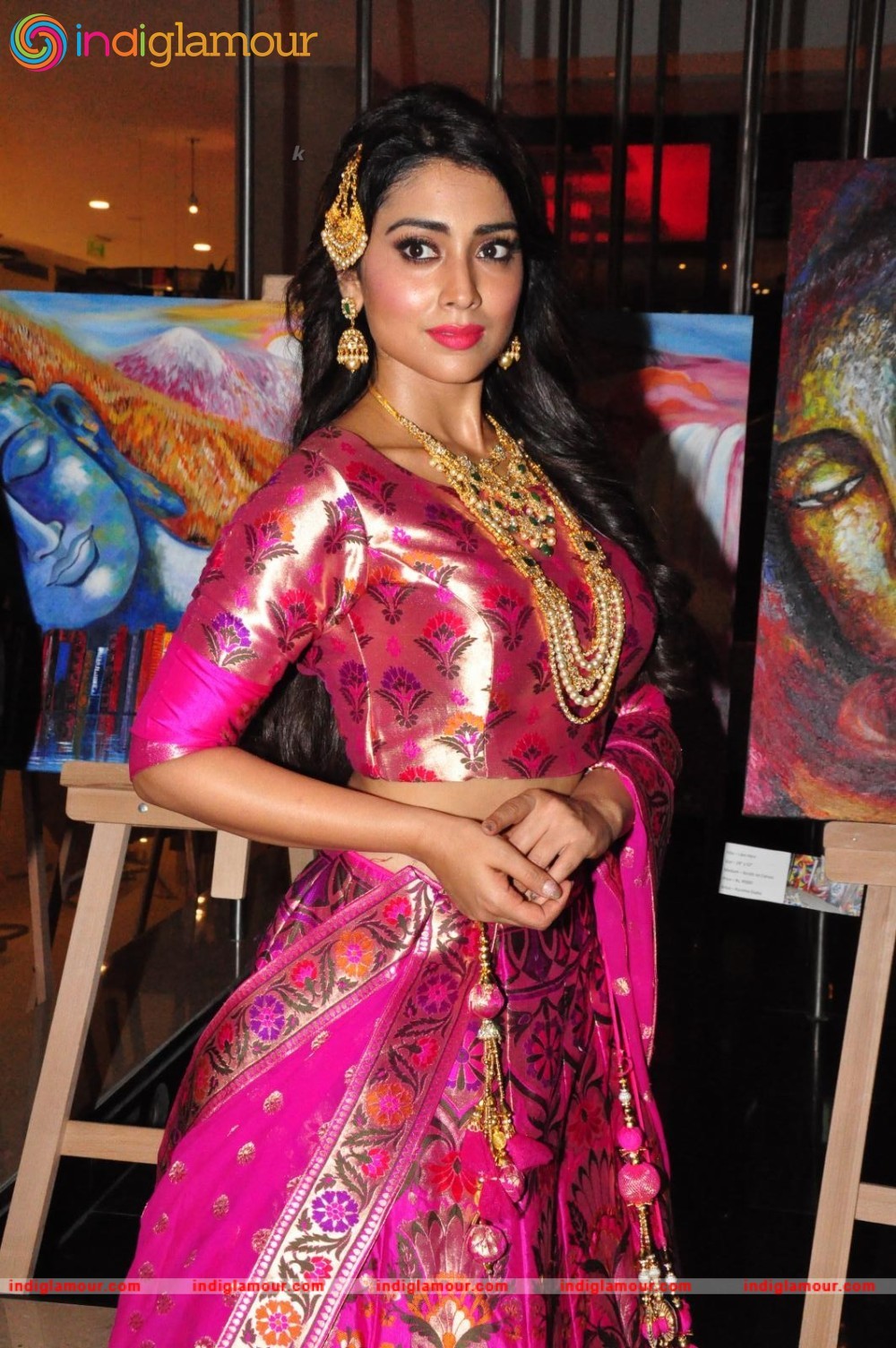 Shriya Saran New Pics Actress hd photo