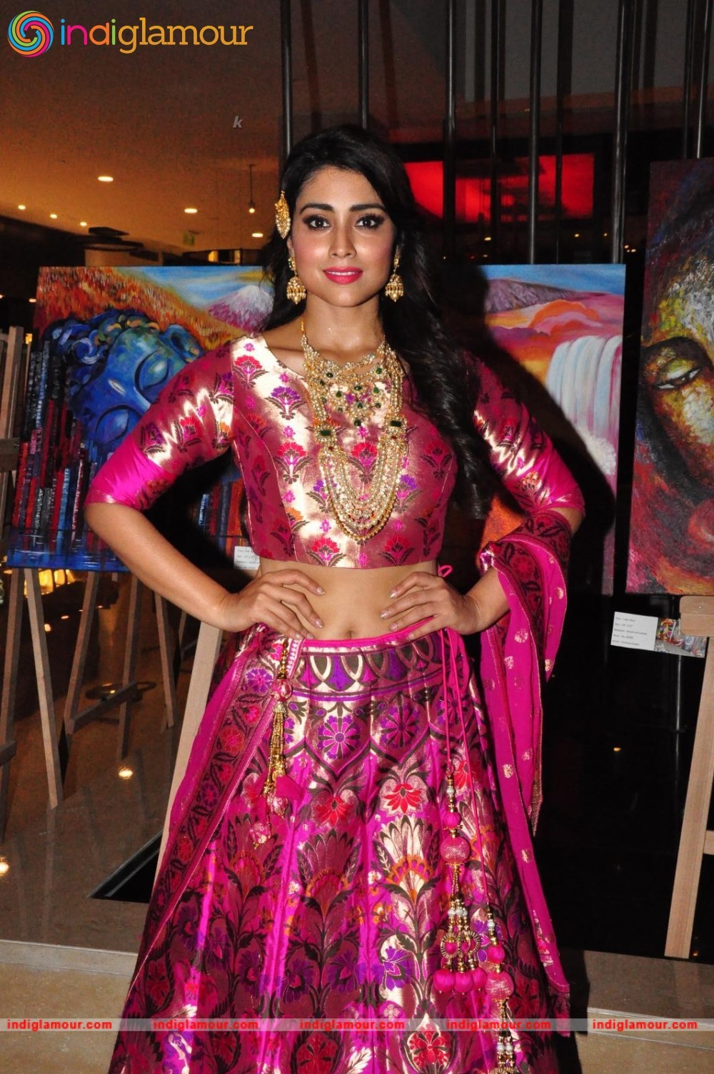 Shriya Saran New Pics Actress hd photo