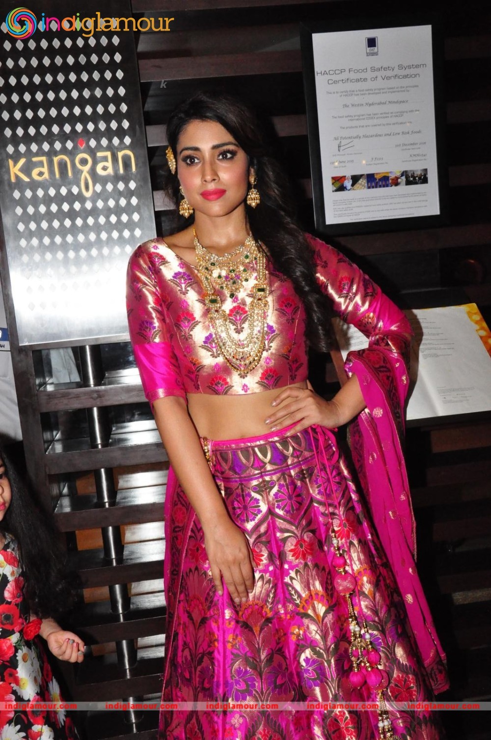 Shriya Saran New Pics Actress hd photo