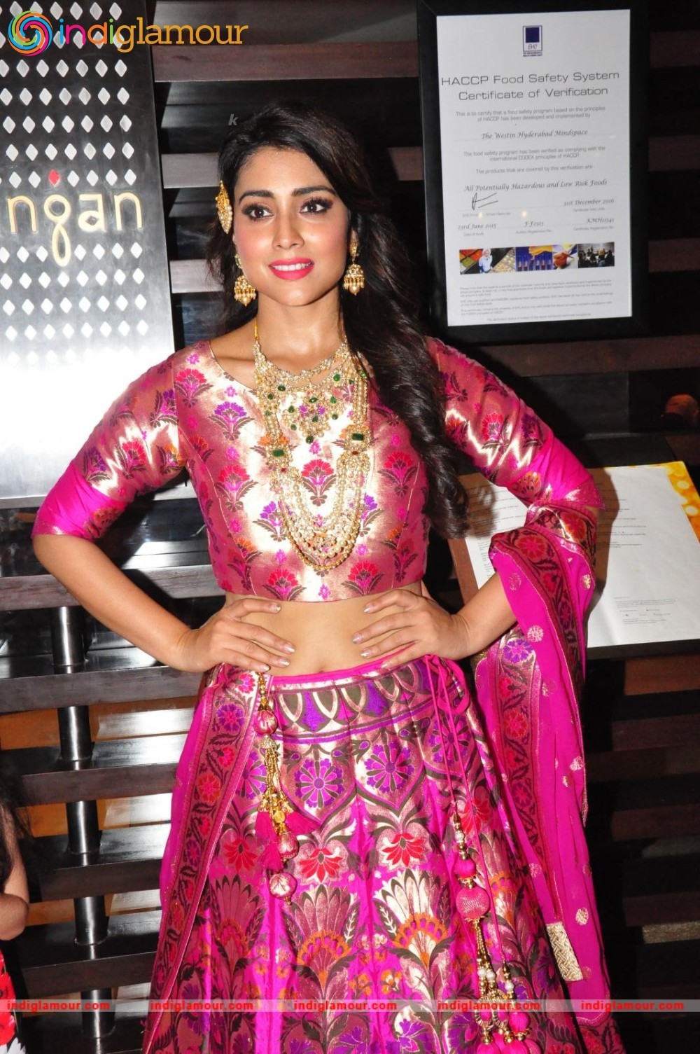 Shriya Saran New Pics Actress hd photo