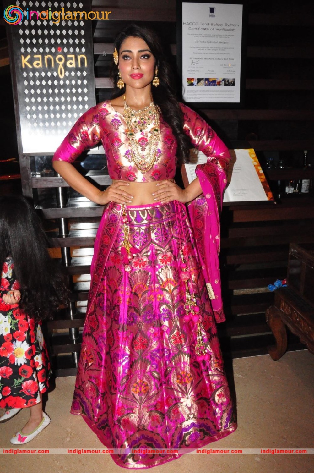 Shriya Saran New Pics Actress hd photo