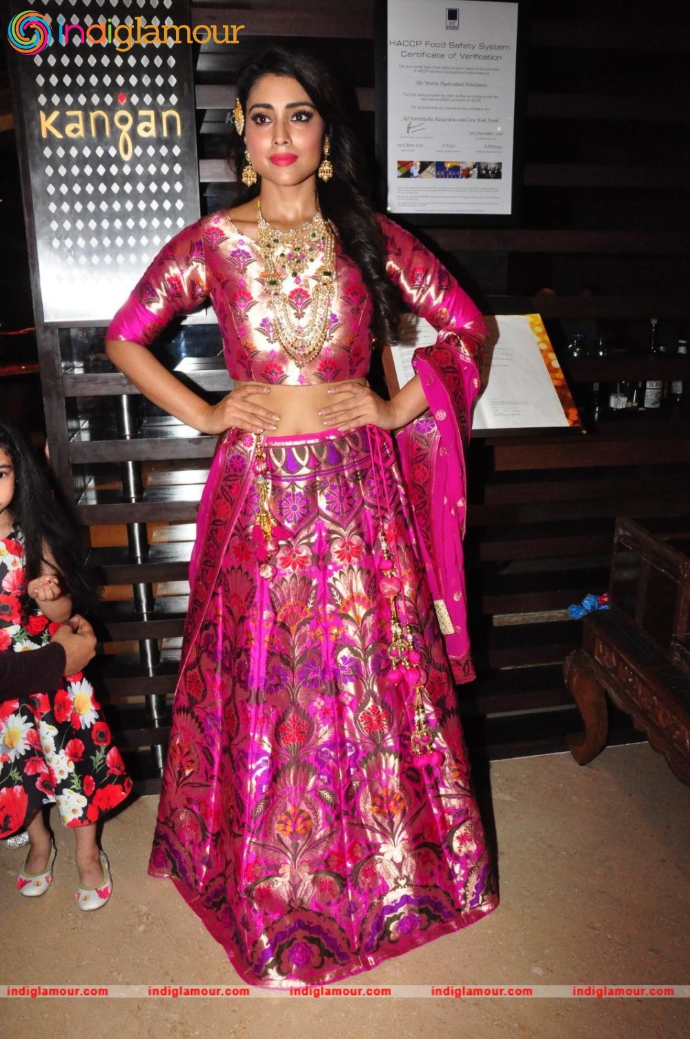 Shriya Saran New Pics Actress hd photo
