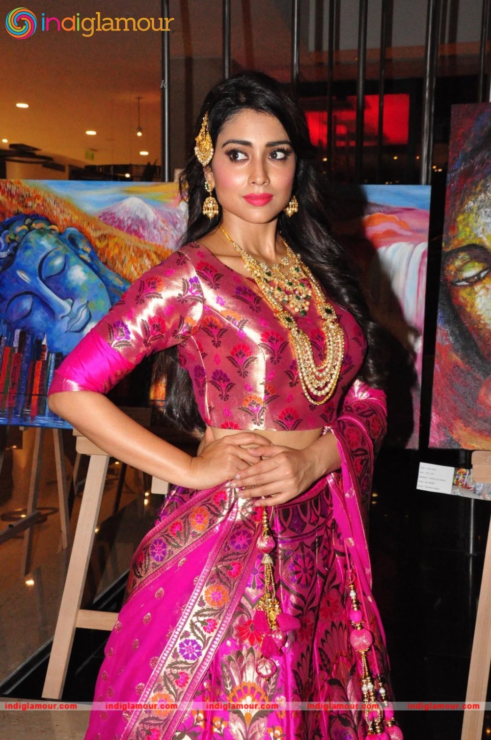 Shriya Saran New Pics Actress hd photo