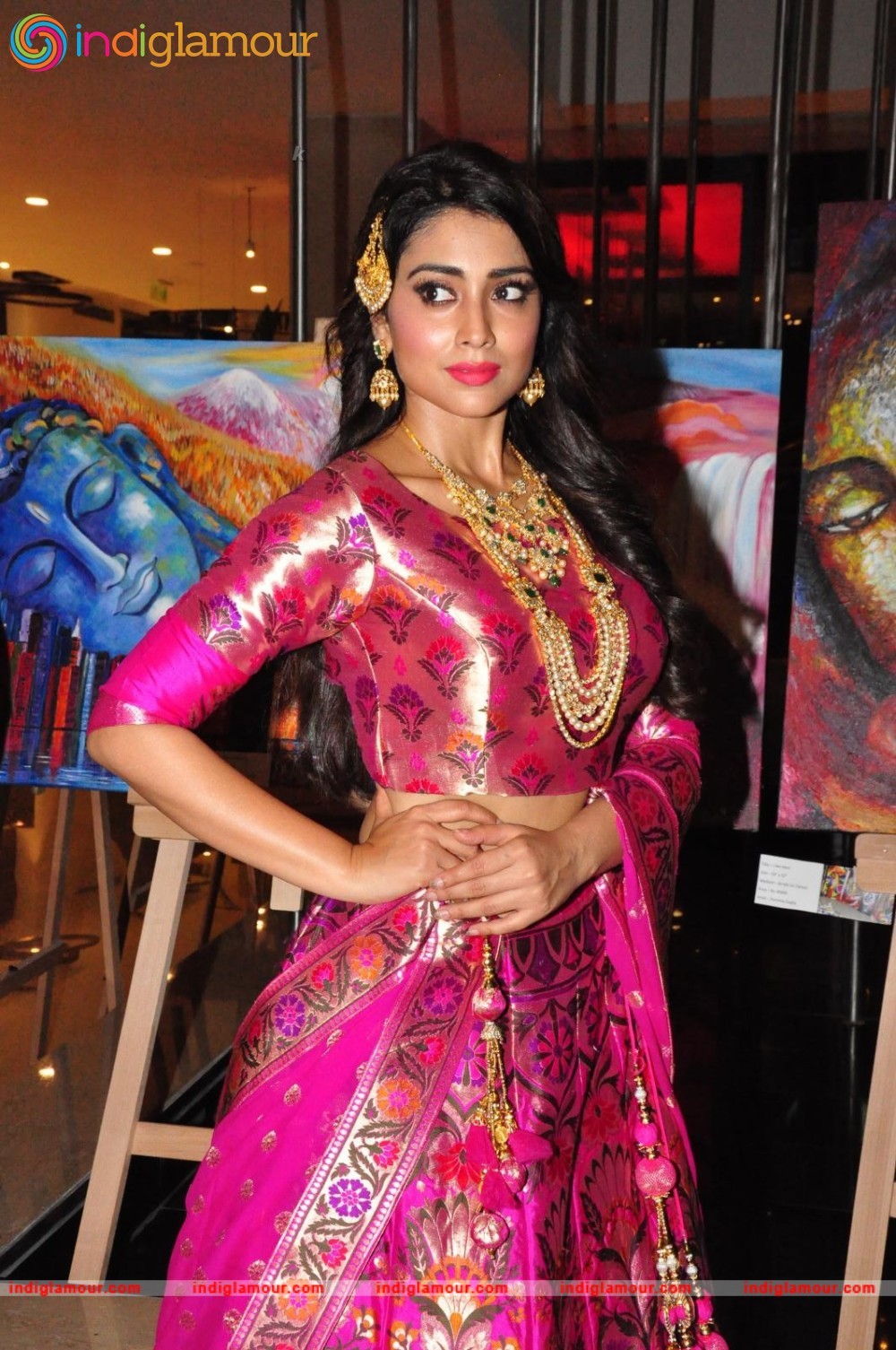 Shriya Saran New Pics Actress hd photo