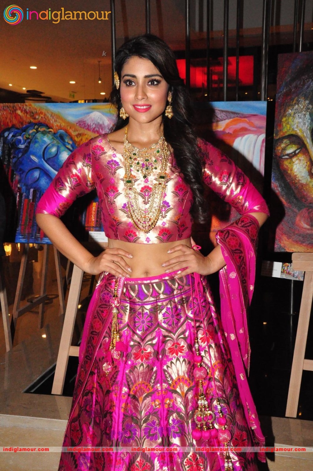 Shriya Saran New Pics Actress hd photo