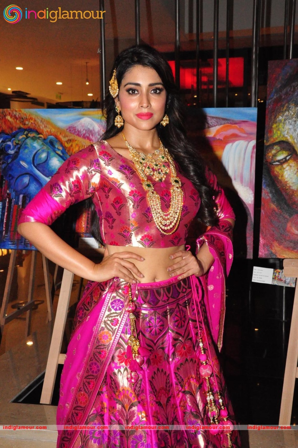 Shriya Saran New Pics Actress hd photo