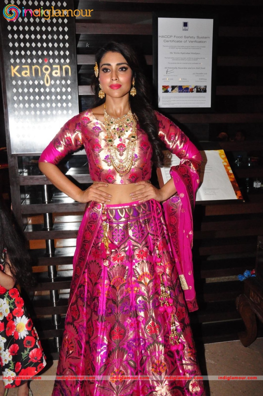 Shriya Saran New Pics Actress hd photo