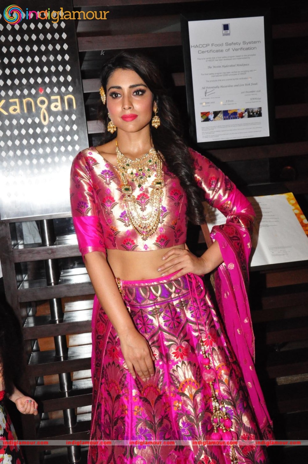 Shriya Saran New Pics Actress hd photo