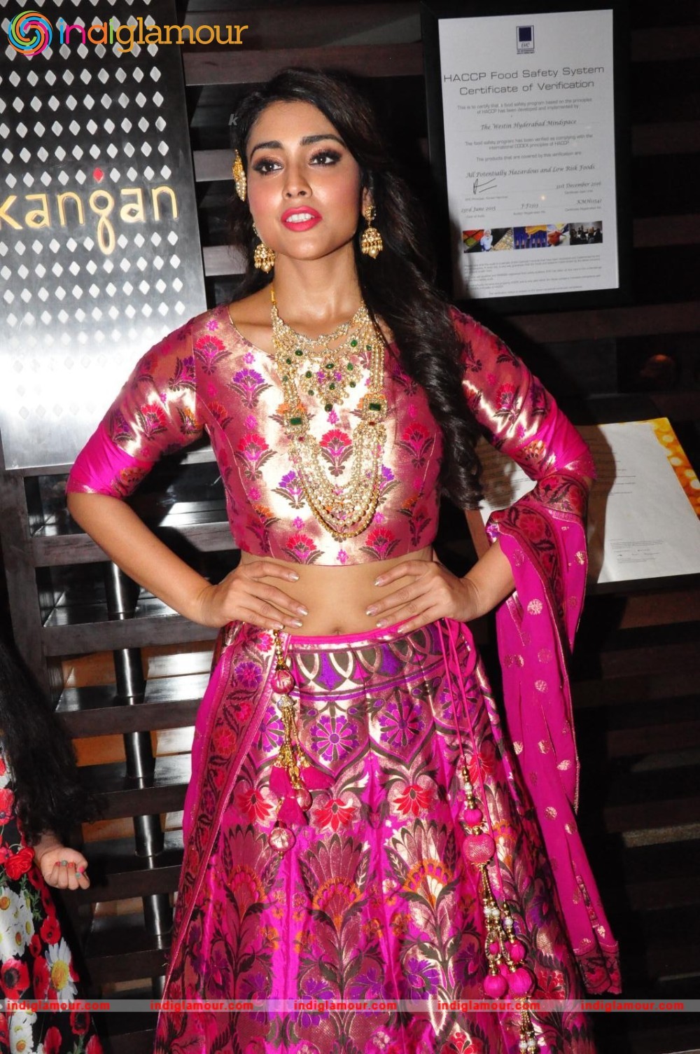 Shriya Saran New Pics Actress hd photo