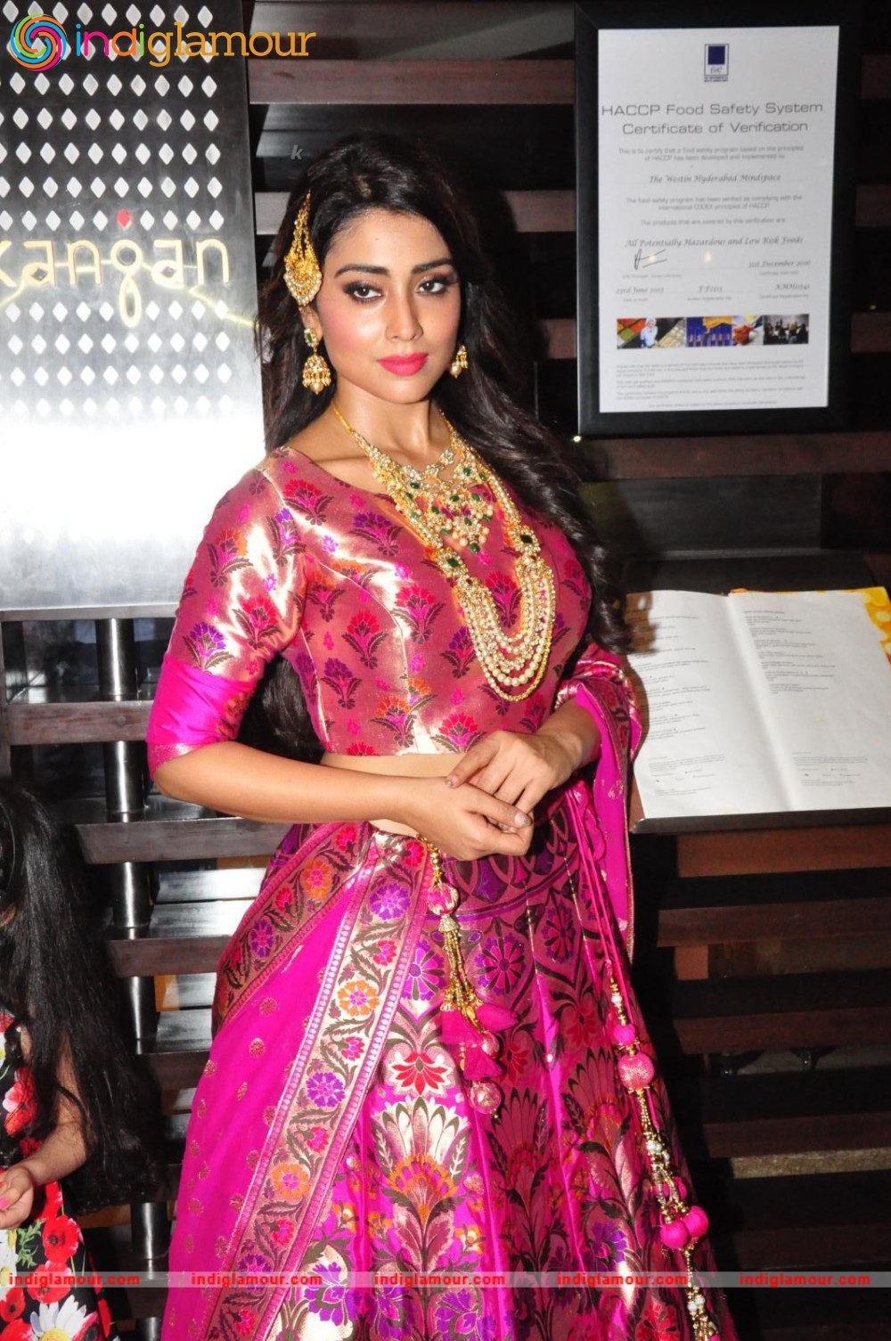 Shriya Saran New Pics Actress hd photo