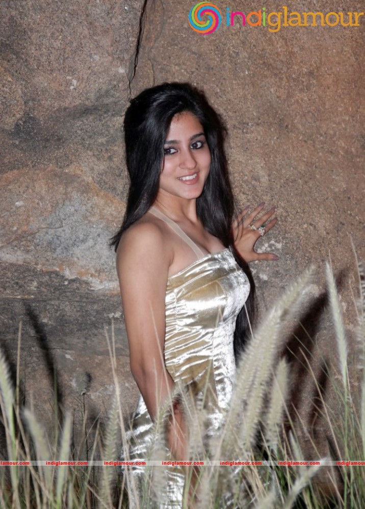 Soudamini Actress Latest Hot Photo Gallery Actress hd photo
