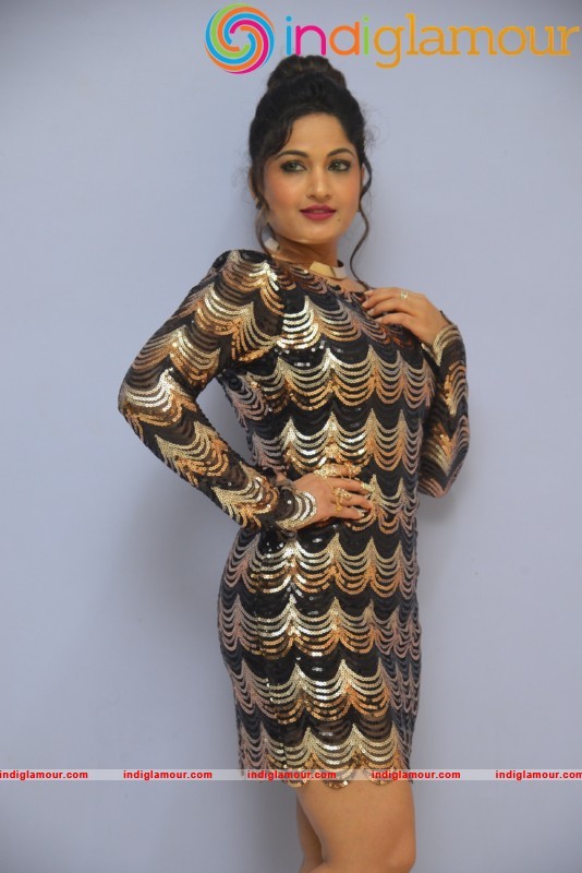 Madhavi Latha Latest Hot And Spicy Photo Gallery Actress hd photo